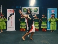 Asia Fest 3-10