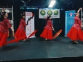 Asia Fest 3-28