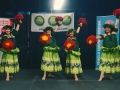 Asia Fest 3-3
