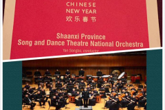DSO 2017